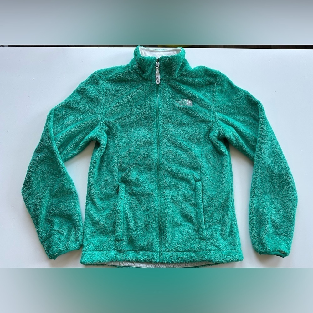 Vintage 90s Y2K The North Face Osito Bright Green Fleece Zip Up Jacket